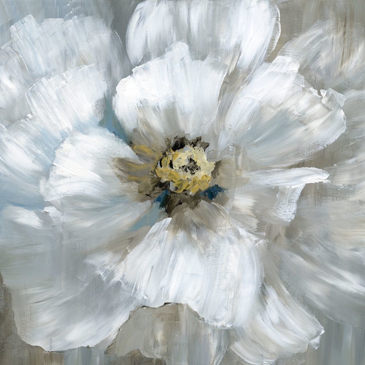 Picture of HELLO SUNSHINE