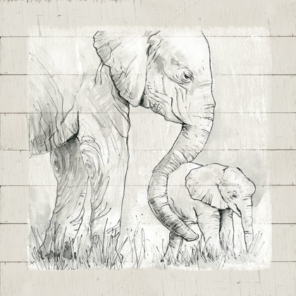 Picture of SKETCHY MOTHER AND BABY ELEPHANT