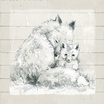 Picture of SKETCHY MOTHER AND BABY FOX