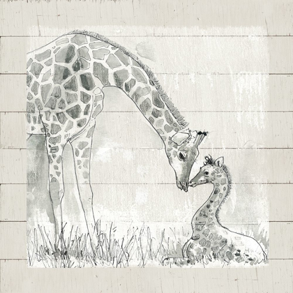 Picture of SKETCHY MOTHER AND BABY GIRAFFE