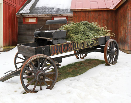 Picture of COUNTRY STORE WAGON