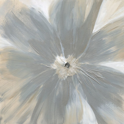Picture of SILVER BLOOM
