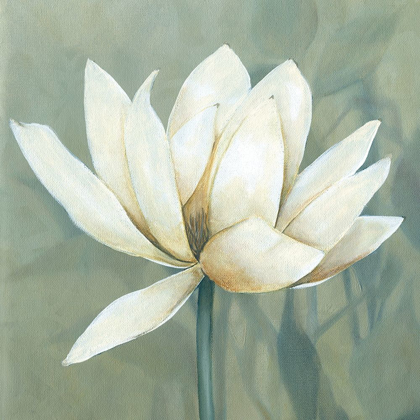 Picture of WATERLILY I