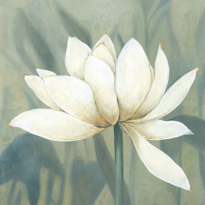 Picture of WATERLILY II