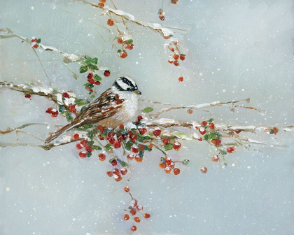Picture of WOODPECKER IN WINTER