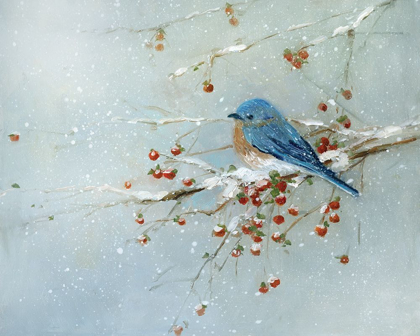 Picture of BLUE BIRD IN WINTER
