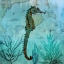 Picture of PACIFIC SEAHORSE