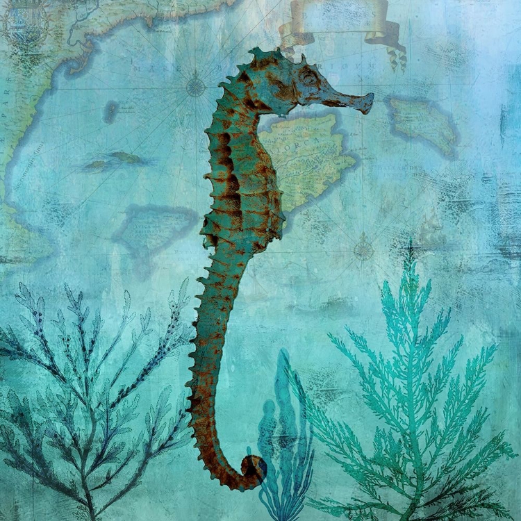 Picture of PACIFIC SEAHORSE
