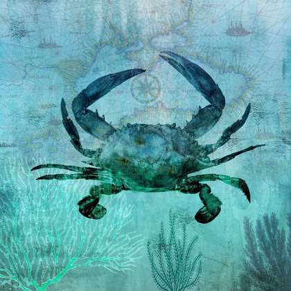 Picture of PACIFIC CRAB