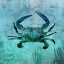 Picture of PACIFIC CRAB