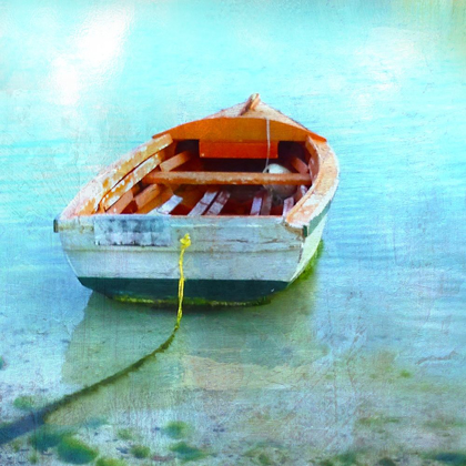 Picture of COLOR TINT BOAT