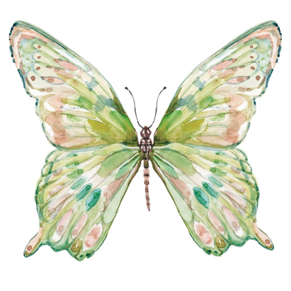 Picture of SOFT WINGS I