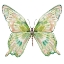 Picture of SOFT WINGS I