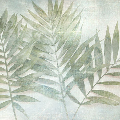 Picture of SOFT LEAVES I