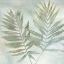 Picture of SOFT LEAVES II