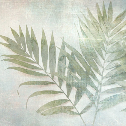 Picture of SOFT LEAVES III