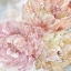 Picture of CONTEMPORARY PEONIES II