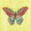 Picture of BUTTERFLY ON GREEN