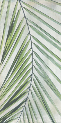 Picture of PALM ESCAPE I