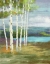 Picture of HIGH COUNTRY