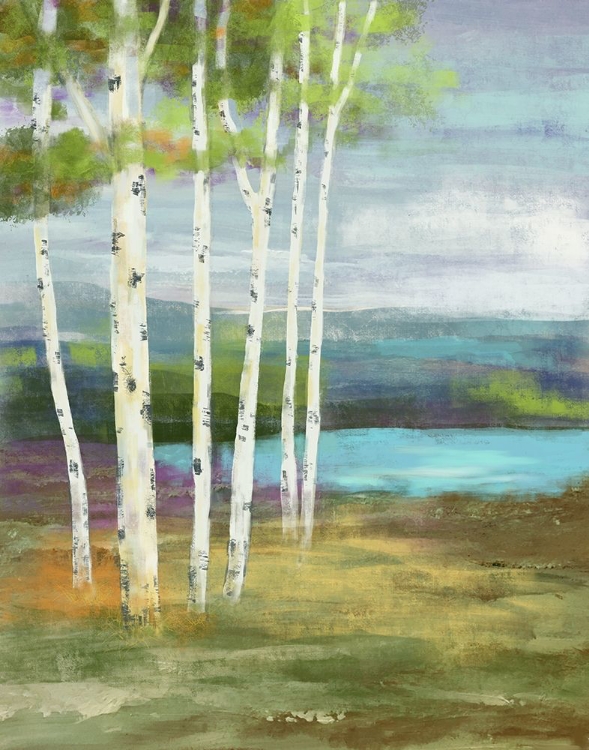 Picture of HIGH COUNTRY