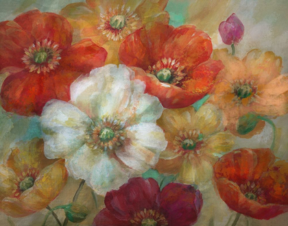 Picture of POPPYCENTRIC