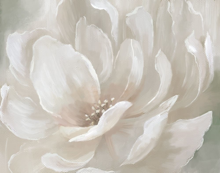 Picture of PEACH PERFECT