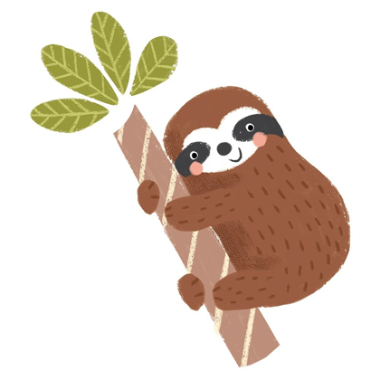 Picture of BROWN SLOTH