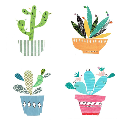 Picture of CUTE CACTI