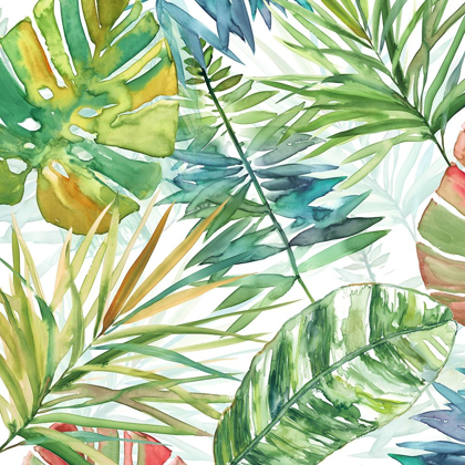 Picture of TROPICAL SKETCHBOOK I