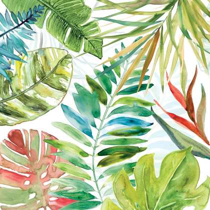 Picture of TROPICAL SKETCHBOOK II