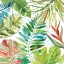 Picture of TROPICAL SKETCHBOOK II