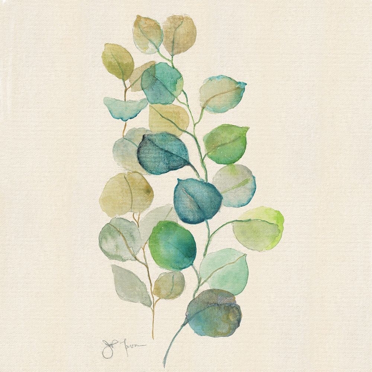 Picture of EUCALYPTUS II