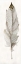 Picture of NEUTRAL FEATHER II