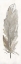 Picture of NEUTRAL FEATHERS III