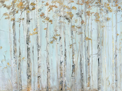 Picture of SOFT BIRCH FOREST