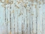 Picture of SOFT BIRCH FOREST