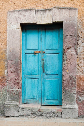 Picture of TOPAZ DOOR