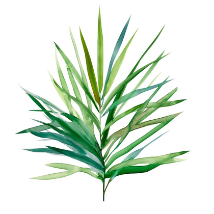 Picture of PALM FROND I