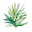 Picture of PALM FROND I