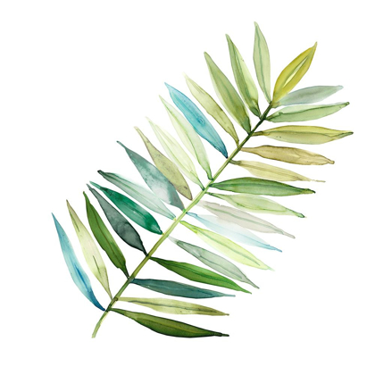 Picture of PALM FROND II