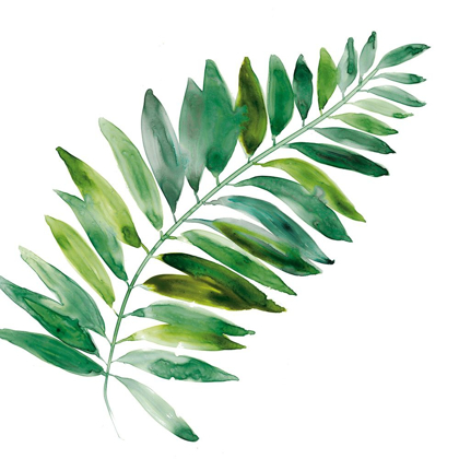 Picture of TROPICAL FROND II