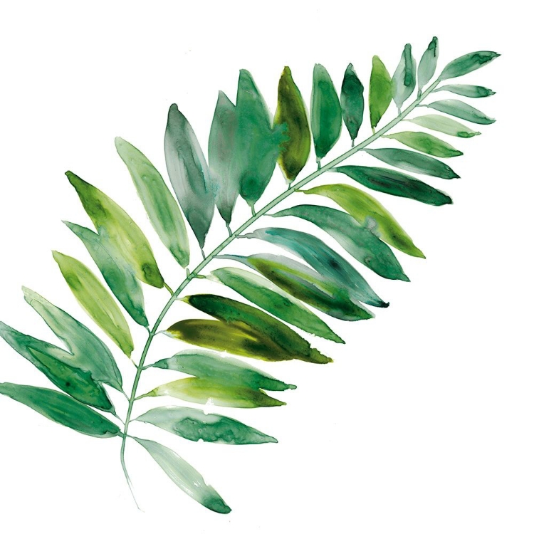 Picture of TROPICAL FROND II
