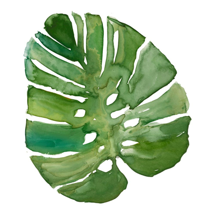 Picture of TROPICAL FROND III