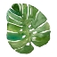 Picture of TROPICAL FROND III