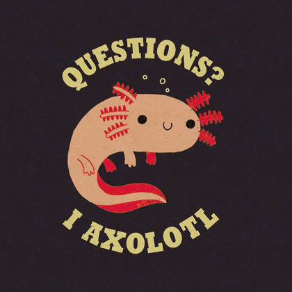 Picture of AXOLOTL QUESTIONS