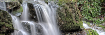 Picture of CANYON FALLS NO. 10