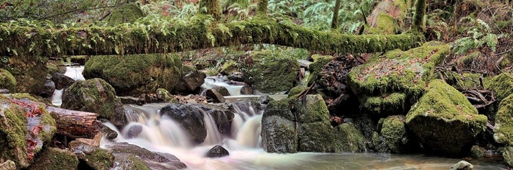 Picture of CANYON FALLS NO. 11