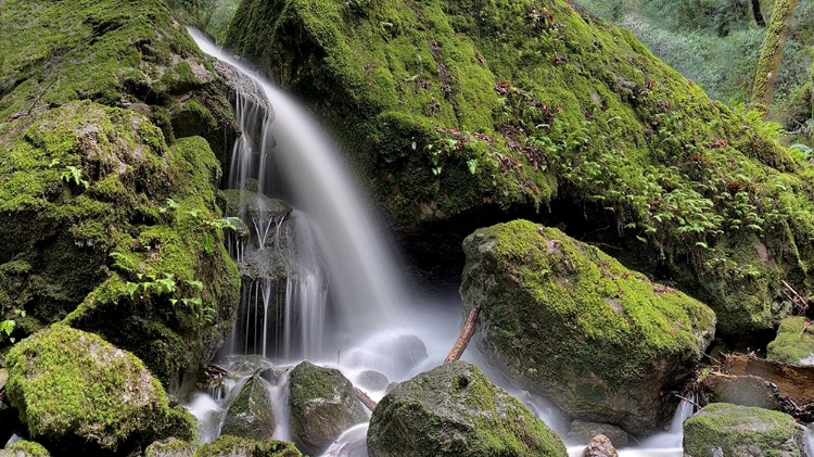 Picture of CANYON FALLS NO. 13