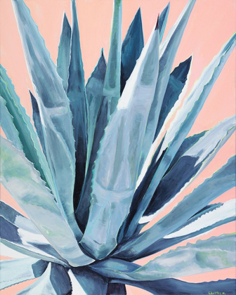 Picture of AGAVE WITH CORAL